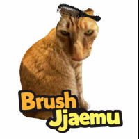 Brush Jjaemu img