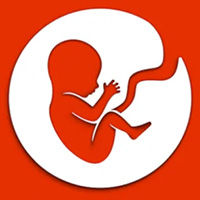 E-Life Simulation img