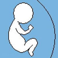 Everything Start to Fall img