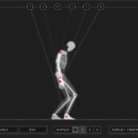 Skeleton Simulator img