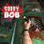 Sorry Bob img